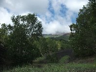 nti Sartorius-20100606 014